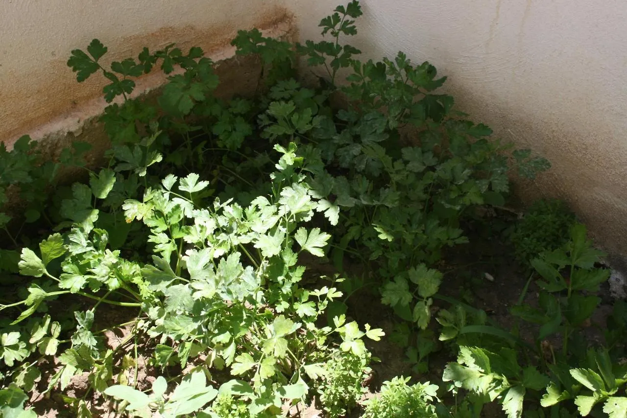 La Rosa Apartment Sciacca